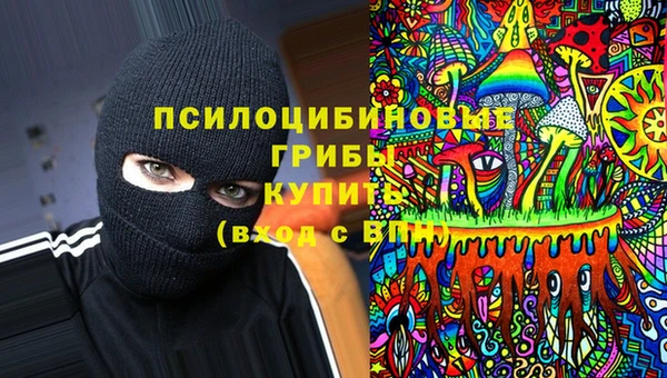 каннабис Корсаков